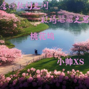 桃花坞