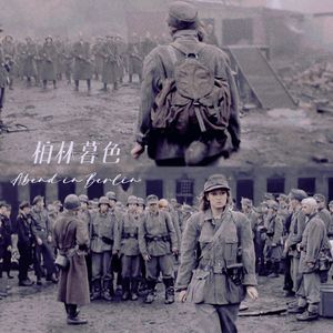 【WW2影视系列】柏林暮色——记电影《帝国的毁灭》