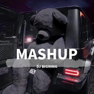 凤凰传奇 - 自由飞翔+天蓝蓝+康定情缘 (DJ BIGNING Mashup)