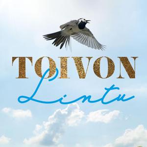 Toivon Lintu
