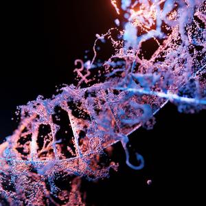 TMNT (Comin' Quicker Than You Ever Knew)