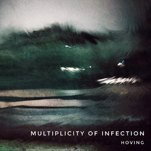 Multiplicity of Infection