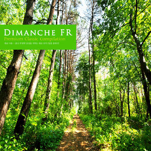 Brahms: Symphony No.1 In C Minor Op.68 - II. Andante Sostenuto