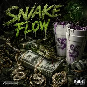 Snake Flow