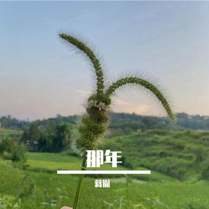 那年 伴奏