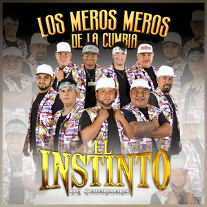 Como Pelotita de Ping Pong