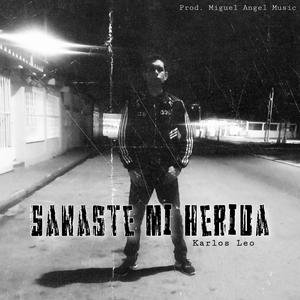 Sanaste Mi Herida