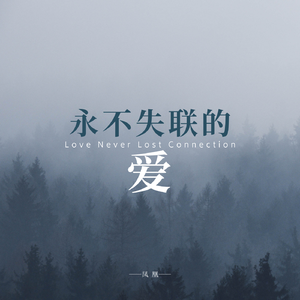 永不失联的爱