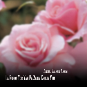 Sta Pa Darbar Ka Zhariyam