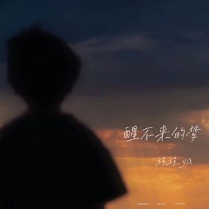 醒不来的梦（原唱：回小仙）