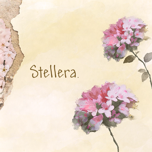 Stellera