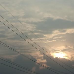 红色高跟鞋