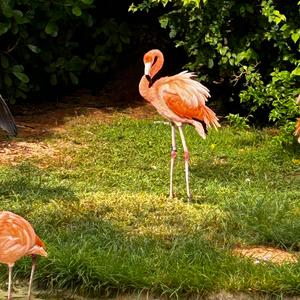 That's What I'm Saying(The Rest Is Just Noise Pollution Backing Loop)