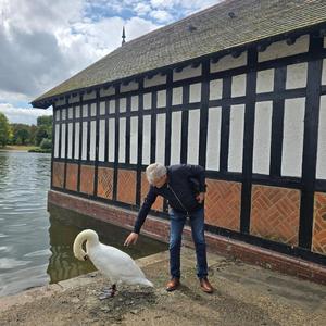 AȘTEPTAREA (WAITING)