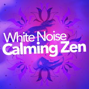 White Noise: A Kettle and Microwave
