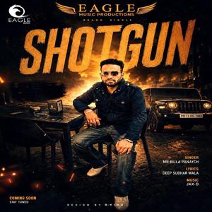 Shotgun
