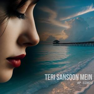 Teri Sansoon Mein