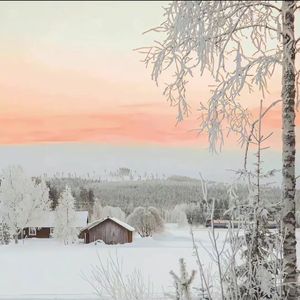 雪Distance dj铁柱