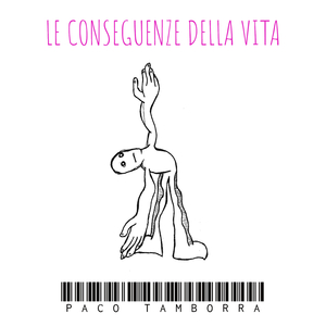 GUARDAVAMO GLI AEREI VOLARE