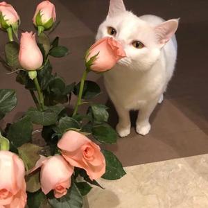 Alone (Wilelm)