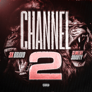 Channel 2