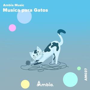 Música De Gatos