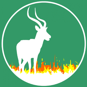 Two Faces (Original Mix)