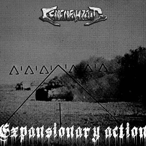 Expansionary action 扩张行动