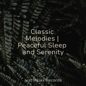 Whispered Lullaby of the Prairie