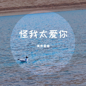 怪我太爱你