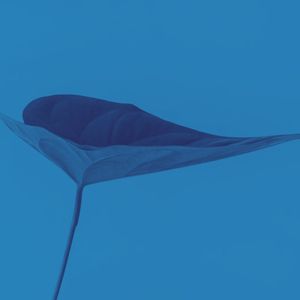 有趣河流与溪流情怀