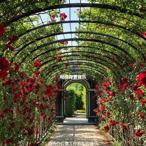 办公室工作爵士