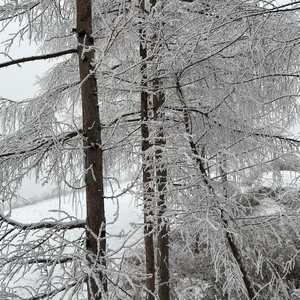 落情（秦瑶曲）DEMO