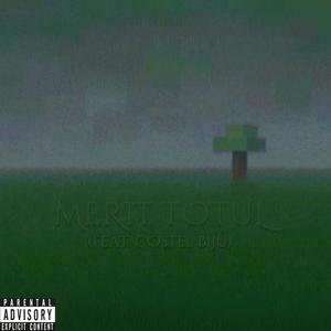 MERIT TOTUL (feat. Costel Biju)
