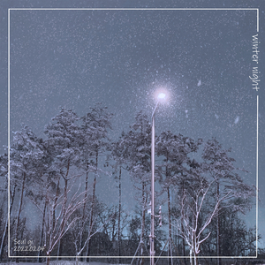Winter Night