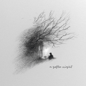 a softer night