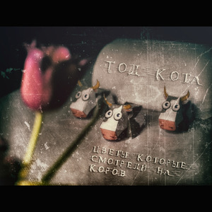 Лунное Солнце