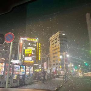 Froggy-东京下雪了，你不在我身边（D&C remix）