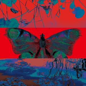 嫉恨.SpiteorGrudge(Prod Lovely_fg)