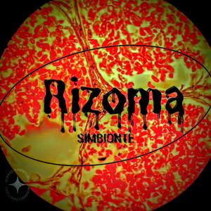 Rizoma