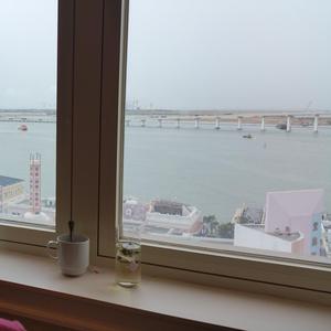 황조가(黃鳥歌)