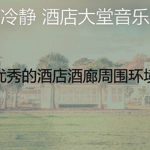 抚慰的酒店酒吧回忆