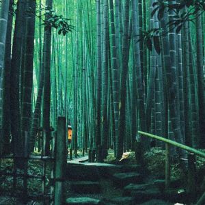 【Free】“雾”Gunna&Mac Over SeaType Beat