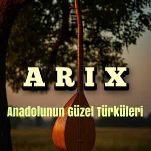 ARIX