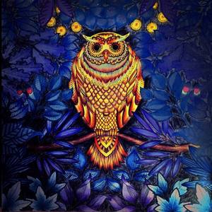 Black.Key-秘密（Peifta remix）