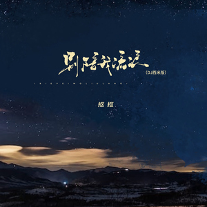 别陪我流浪 (DJ版)