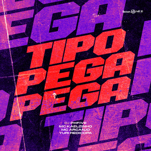 TIPO PEGA PEGA