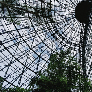 サンデーナイトブルース