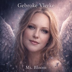 Gebroke Vlerke