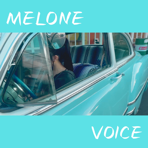 VOICE